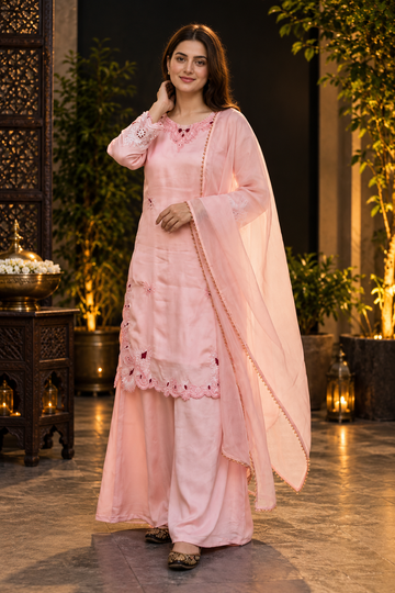 EMBROIDERY THREAD WORK 3 PIS SUIT SET