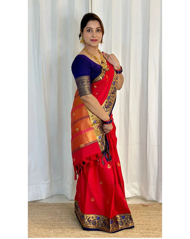 Peacock  Paithani Cotton Silk Saree